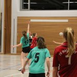 2016_01_23 Landesliga Frauen